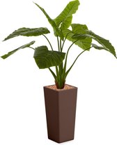 HTT - Kunstplant Philodendron in Clou vierkant bruin H165 cm