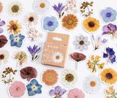 Set van 46 stickers - Bloemen 2 - Flower sticker