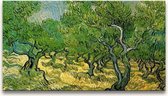 Handgeschilderd schilderij Olieverf op Canvas - Vincent van Gogh - Olijfboomgaard