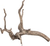 Sera Filigrane wortel Scaper Root XS • 18 – 20 cm
