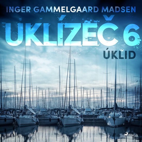 Uklízeč 6: Úklid - cover