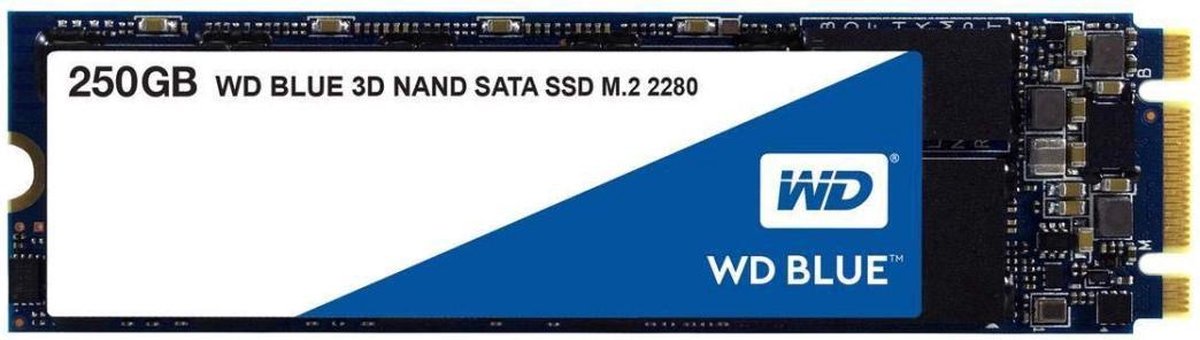 WD - Western Digital SSD WD Blue 3D NAND 250GB M2