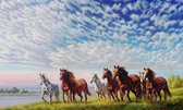 Eagle® Diamond Painting Volwassenen - Diamond Painting Kinderen - Paarden in Weide - 50x40cm