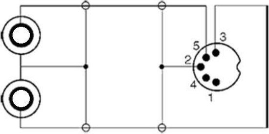 S-Impuls DIN 5 broches (m) - Adaptateur audio RCA stéréo 2RCA (V) avec  câble de terre
