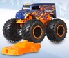 foto van Hot Wheels Monster Trucks 1:64 Assortment