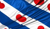 Vlag van Friesland - Friese vlag 150x100 cm incl. ophangsysteem