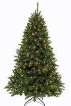 Triumph Tree - Bristlecone kerstboom led d.groen 304L TIPS 1168 - h230xd152cm- Kerstbomen