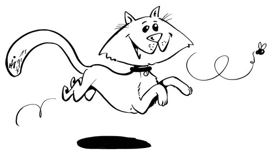 Een springende kat met een kraag, achtervolgd door een vlieg.