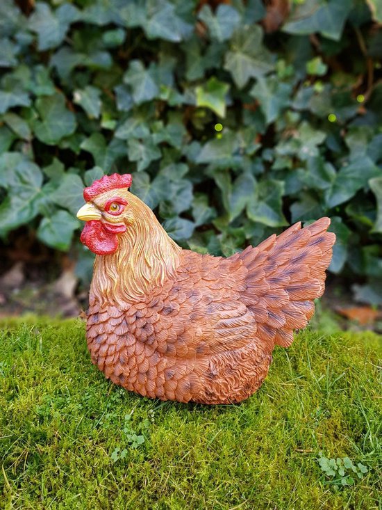 Broed kip zit 26cm bruin bol