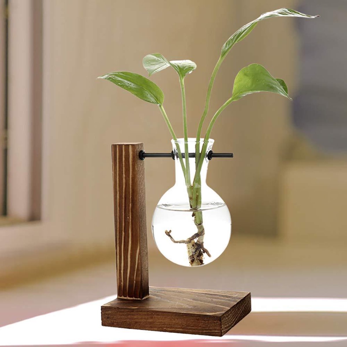 Glazen planten standaard met houten frame - Decoratieve bloemen standaard -  13,5x10 cm... | bol.com