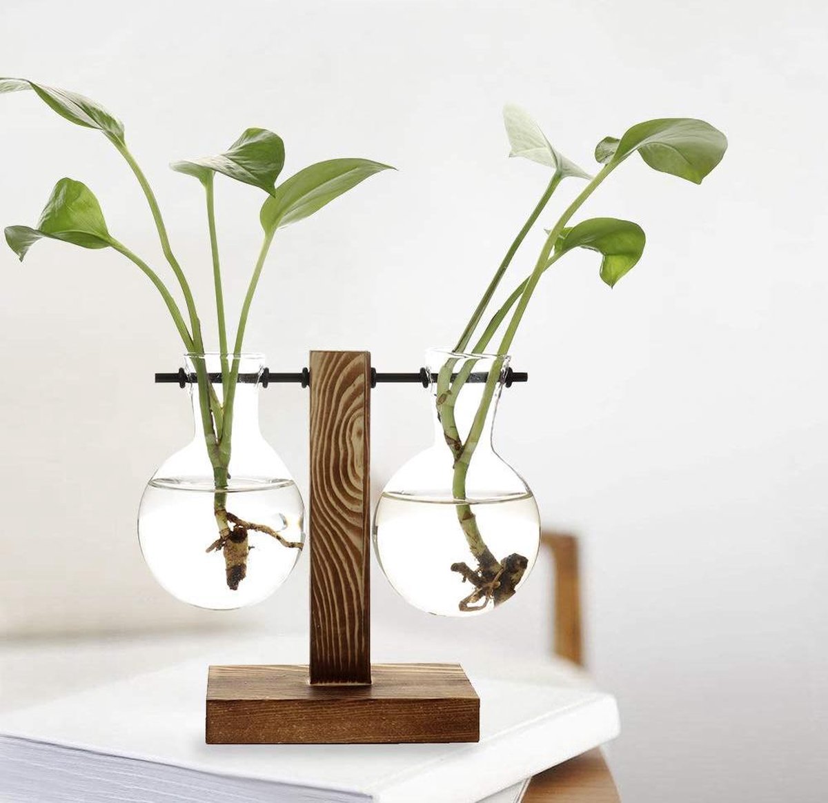 Glazen planten standaard met houten frame - Decoratieve bloemen standaard -  13,5x10 cm... | bol.com