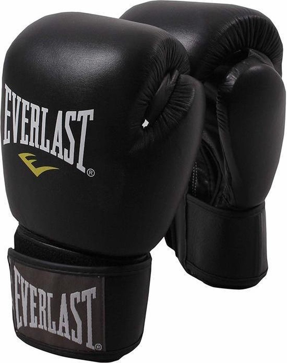 Gants de boxe Everlast Muay Thai Pro | bol.com