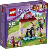 LEGO Friends Veulen Wasplaats - 41123