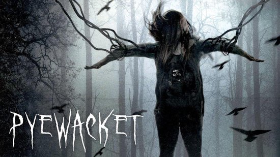 Een vrouw met lange, wapperende haren, omringd door takken en vliegende kraaien. De tekst 'PYEWACKET' staat vooraan.