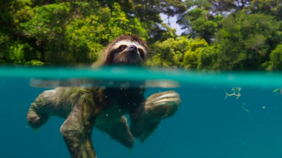 Planet Earth - Seizoen 2 (DVD)
