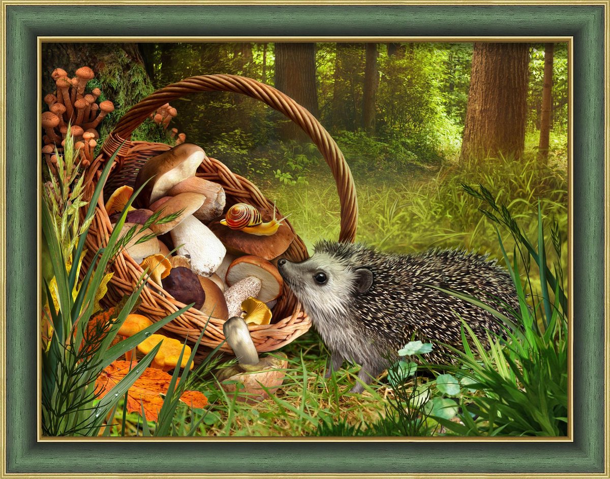 Egel in het Bos 40x 30 cm