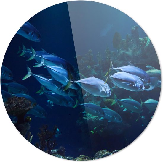 Pêche | Animaux | Plexiglas rond | Décoration murale | 40 cm x 40 cm | Peinture | Photo sur plexiglas