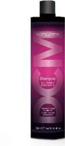 Diapason Care Balancing After Color Shampoo