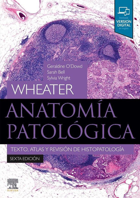 Boek cover Wheater. Anatomía patológica van Geraldine ODowd, Bsc (Hons), Mb (Onbekend)