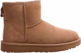 UGG Enkellaarzen Vrouwen - Beige - Maat 41