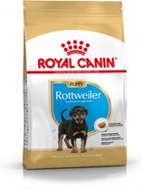 Royal Canin Rottweiler Puppy - Nourriture pour chiens - 12 kg