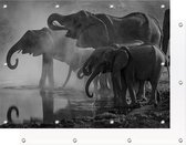 Tuinposter Olifanten Kudde bij Water | 120 x 90 cm | PosterGuru