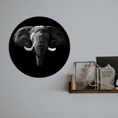 Schilderij Fotokunst Rond - Black Elephant | 50 x 50 cm | PosterGuru