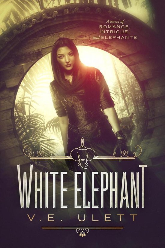 Code Black 2 White Elephant (ebook), V.E. Ulett 9780998113128