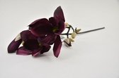 Kunstbloemen En Overige - Magnolia Lisa Purple 65cm