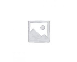 Victorinox Zakmes swisschamp silvertech 31 functies