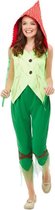 Smiffy's - Dwerg & Kabouter Kostuum - Vliegenzwam Paddenstoel Kabouter - Vrouw - Rood, Groen - Small - Carnavalskleding - Verkleedkleding