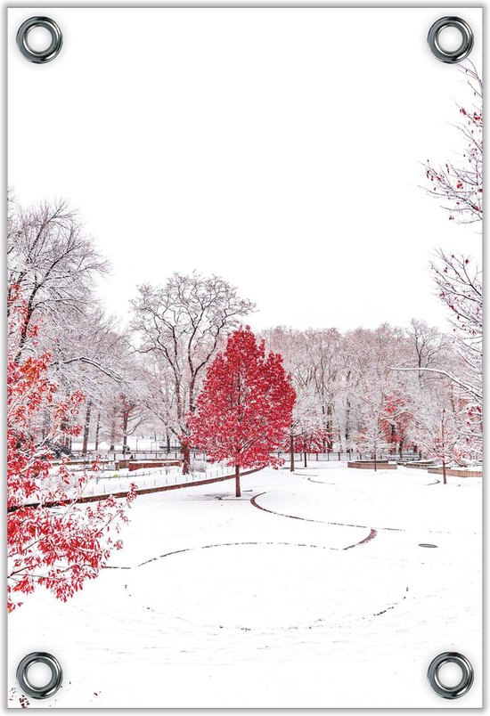 Tuinposter –Rode Boom in de Winter– 40x60cm Foto op Tuinposter (wanddecoratie voor buiten en binnen)