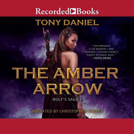 The Amber Arrow - cover