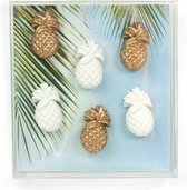 Trendform Ananas magneetset 6 stuks