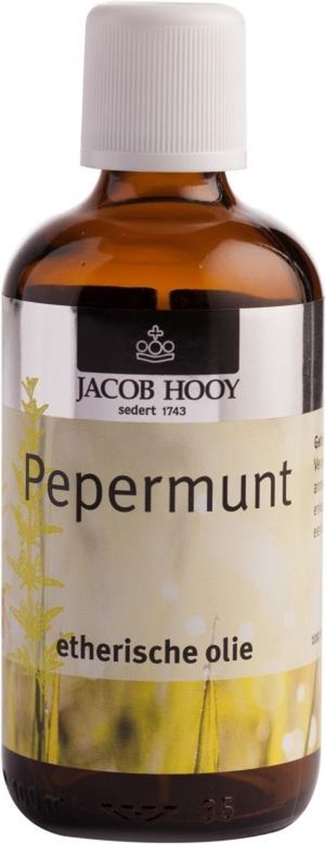 Een bezoek aan grootouders Systematisch Goodwill Jacob Hooy Pepermunt - 100 ml - Etherische Olie | bol.com