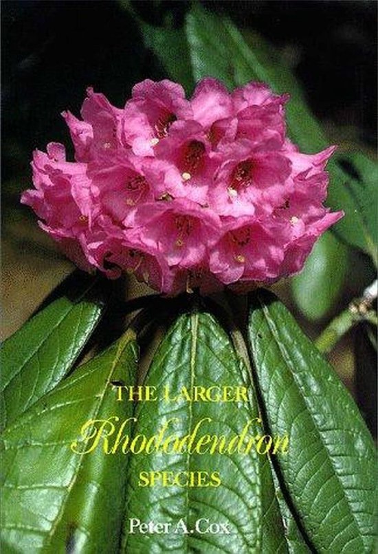 Larger Rhododendron Species