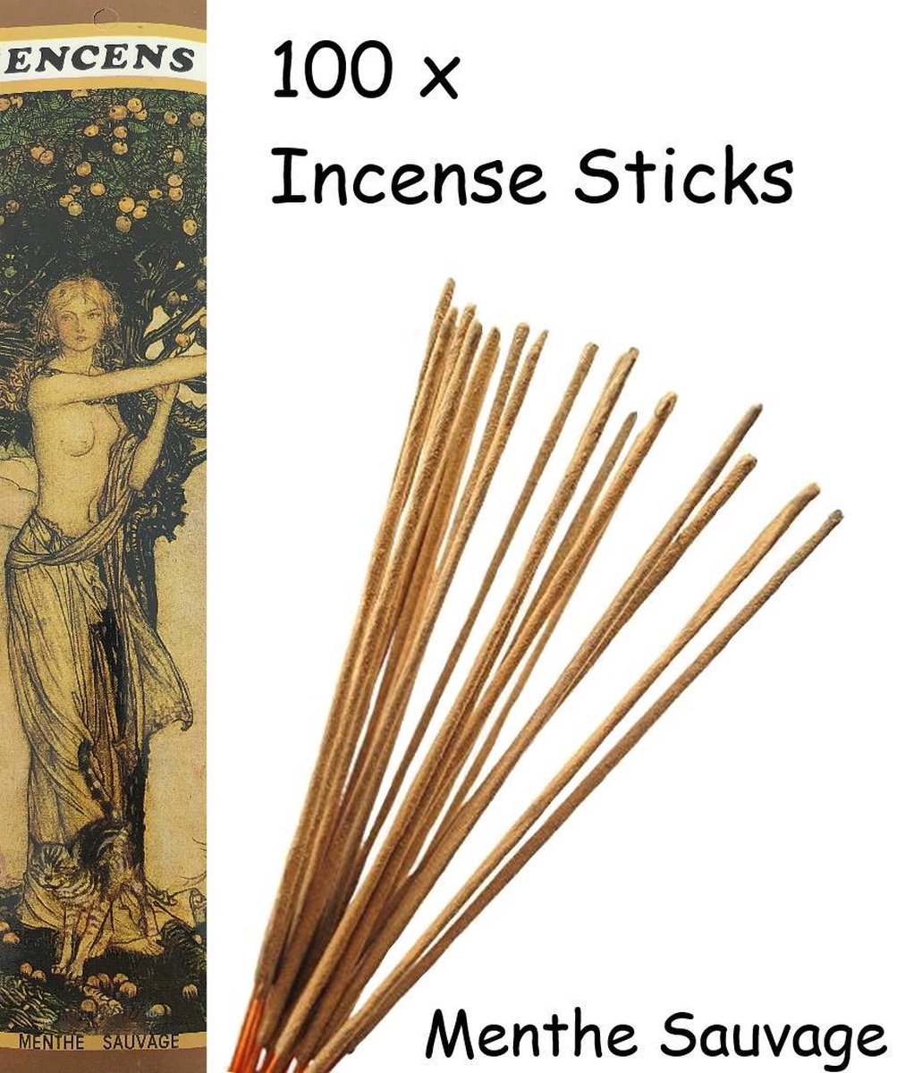 Menthe Sauvage Wierook 100 Stuks Incense sticks - 25cm