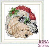 Borduur Pakket Kerst "JobaStores®" Hond & Kat 14CT voorbedrukt (25x25cm)