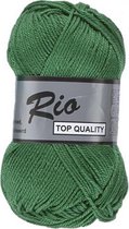 Lammy yarns Rio katoen garen - kerst groen (373) - naald 3 a 3,5 mm - 1 bol