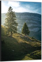 Dibond –Landschap met Bomen en Berg– 60x90cm Foto op Aluminium (Wanddecoratie van metaal)