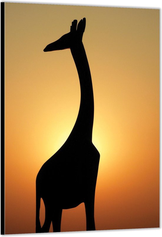 Dibond –Silhouette van Giraffe– 60x90cm Foto op Aluminium (Wanddecoratie van metaal)