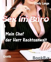 Sex im Büro (ebook), Sindy Lange | 9783748700531 | Boeken | bol.com