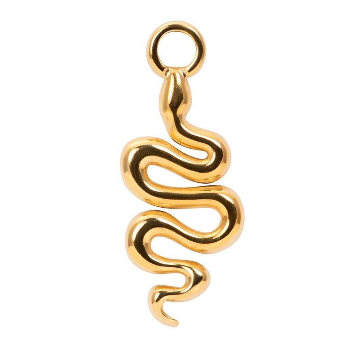 iXXXi Charm Snake Goudkleurig