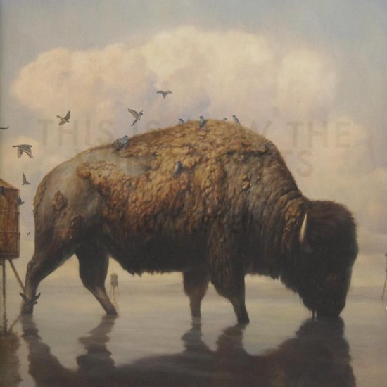 This Is How The Wind Shifts