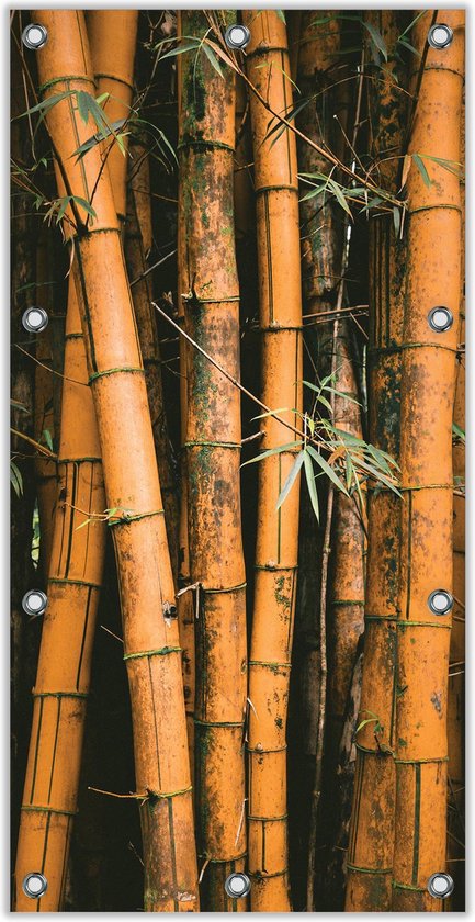 Tuinposter –Bamboe– 100x200cm Foto op Tuinposter voor buiten en binnen) | bol.com