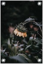 Tuinposter –Treurige Zonnebloem – 80x120cm Foto op Tuinposter (wanddecoratie voor buiten en binnen)