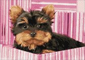 Wizardi Diamond Painting Kit Yorkshire Terrier in Pink Box WD2418