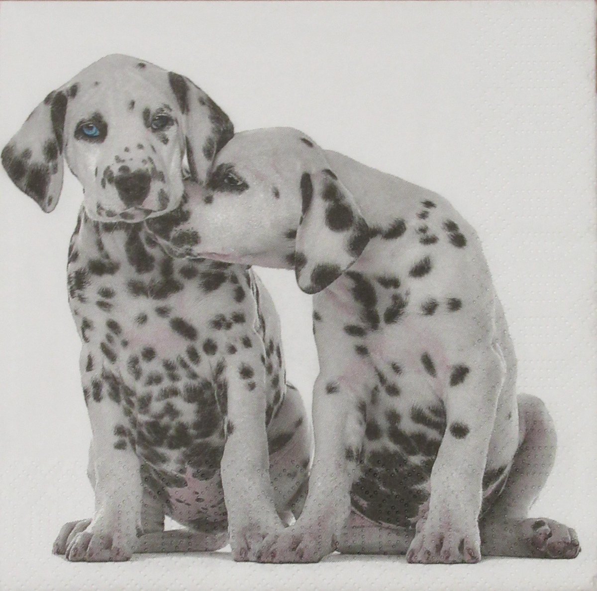 P+D - Lunch servetten - Dalmatians