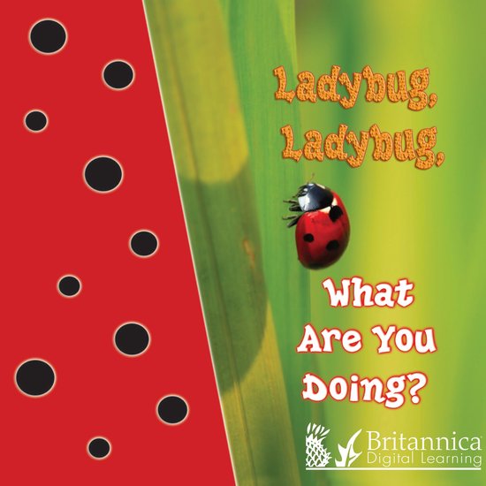 My First Science Library - Ladybug, Ladybug, What Are You Do ... - cover
