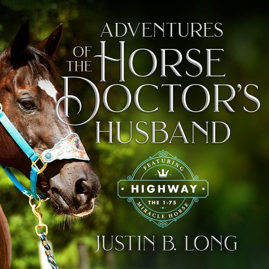 Adventures of the Horse Doctor's Husband - cover